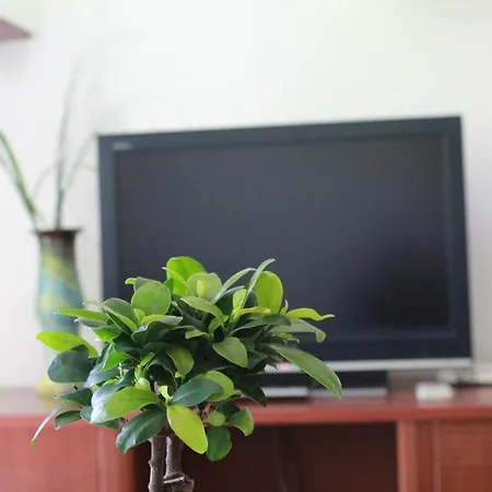 Apartment Апартаменти Арт Уют 3 И Арт Уют 4